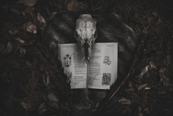 mazokhist: Witch’s Study flickr | instagram
