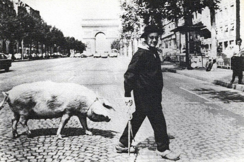 Le périgourdin Ulysse et son cochon truffier traversant les Champs Elysées, Paris.