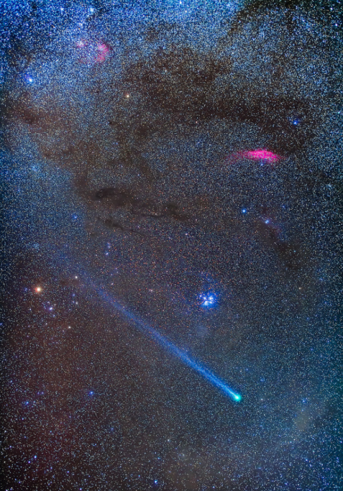 the-wolf-and-moon - Comet Lovejoy in Taurus