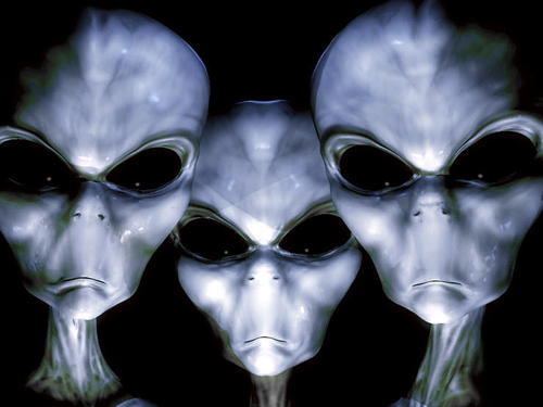 the greys aliens race