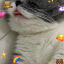 moemoebc