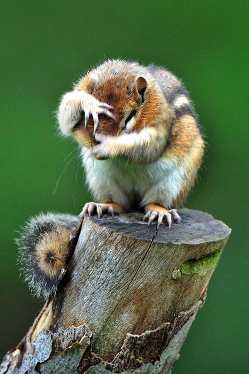 chachafrances:  Oh no, Monday.