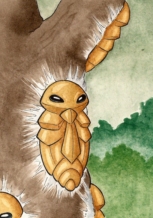 Ahh, The Other Bugs. I Always Liked The Idea Of Beedrill As A Child, Because Who Wouldnt Want To Send