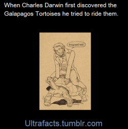 ultrafacts:  After considerable explorations in South America, the Beagle reached the Galapagos Islands in September 1835. Darwin was fascinated by such oddities as volcanic rocks and giant tortoises. He later wrote about approaching tortoises,  which