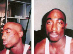 pariahmessiah:Remember when Tupac got his ass stomped out by Oakland Police for “Jaywalking” and then went on to record “Holler If Ya Hear Me”? Yep … that was 22 years ago. Ain’t shit changed.
