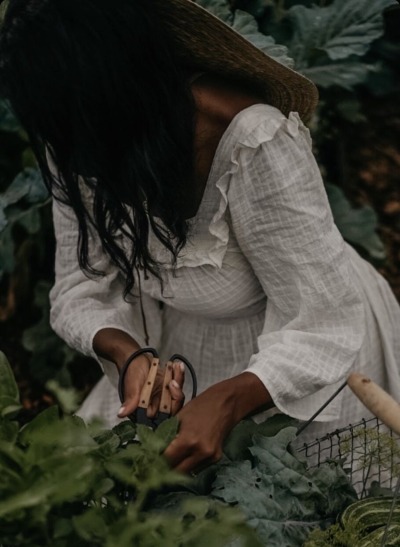 yanthecapricorn:Black Women and their harvests🌿🧺🍅🥬