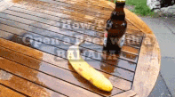 rolledtaco: teengle:   awkwardthuggin:   forhidden:   unsounded:  How to open a beer