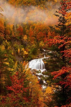 sunfl0wer-spirit:  elvthron:  Autumn makes my heart warmer.   Oh. My.