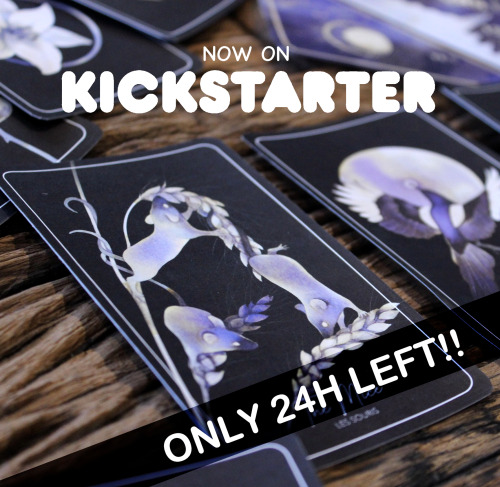 www.kickstarter.com/projects/rozennillustration/the-magpies-lenormandONLY 24H LEFT!!! ᕙ( * &