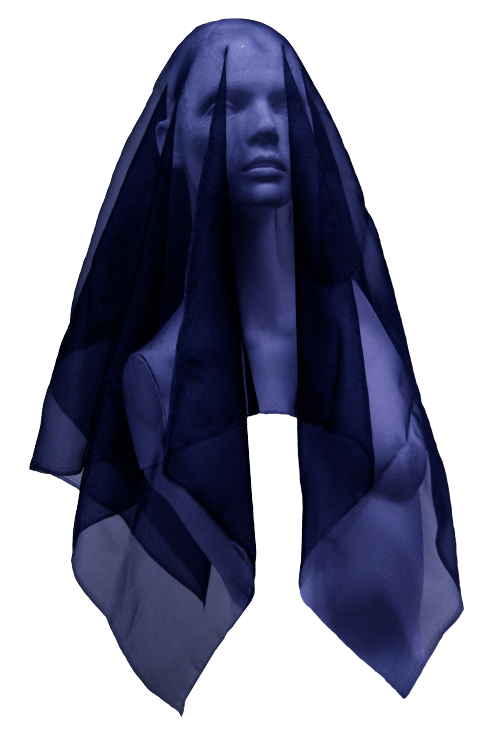 qarcon:  I made a transparent version of a different photo I took in art 