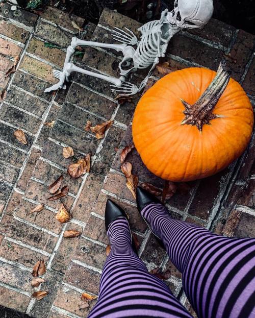 briarwitch132: 8 Days…#halloween #countdown #spookystockings #pumpkins #leaves #halloween #oc