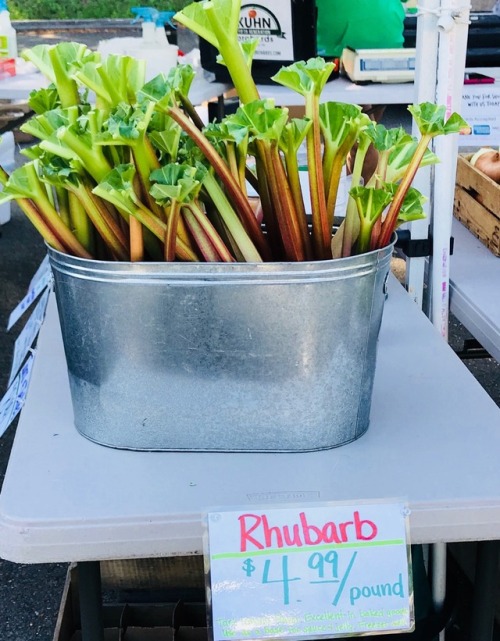 Rhubarb, Early Season Produce at Oak Marr Farmers Market, Fairfax, 2018.Should have bought some as r