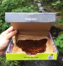 quality-bacon:  Sweet God slab from proper