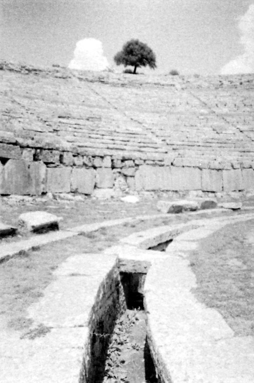 Teatro, Dodoni, Grecia, 2002