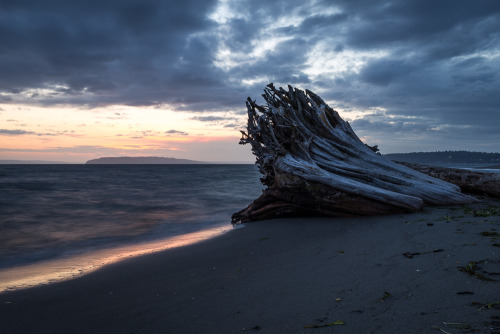 Sunset at Jetty Island, Everett, Washington