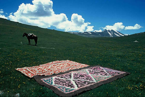 aegean-okra:Beautiful Kyrgyz landscape with traditional felt rugs