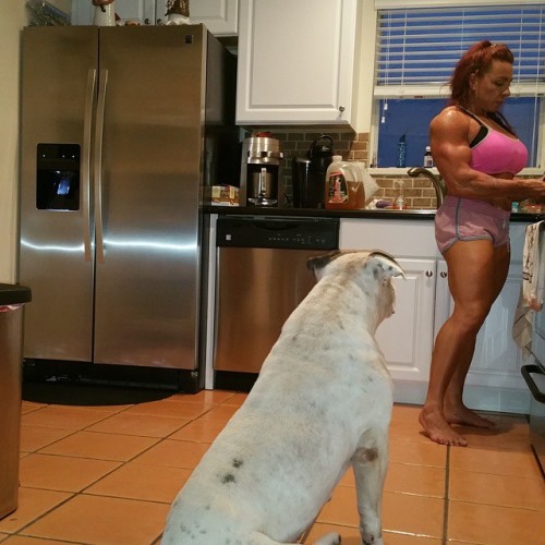 musclegirlsinmotion:  @fonsecafitness : Home made pizza in the oven and Diesel is all over it.  He loves pizza 🍕 #teamunderconstruction #thickfit #momswholift #bodybuilding #girlswholift #momswholift #flex #fit_over_40 #gym #barbellbabes #tewsexy #flex