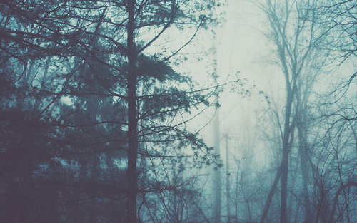 setyourpridetotheside:  forest. | via Tumblr adult photos