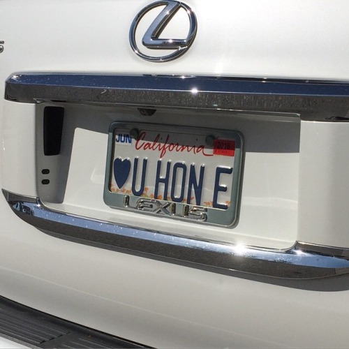 charmers:skatergf:license plate moodboard