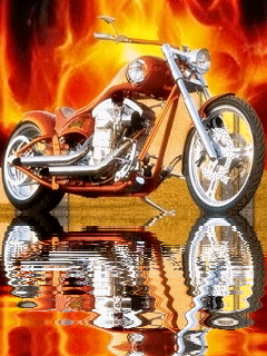 biker chicks on Tumblr