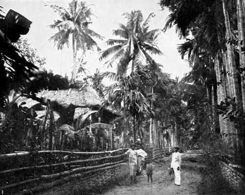 San Carlos and Malasiqui in the Philippines (1905).