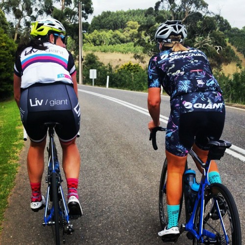 bici-veloce: From square_clare - Hitterz #staytrueracing #BTMs4eva @teamjaggad @giantbikesaus @livcy