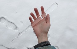 coltre:  razor sharp icicle or unicorn horn?