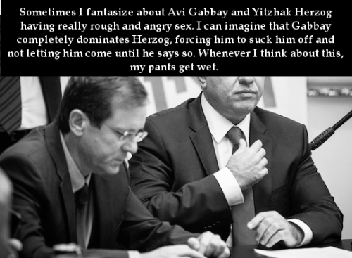 “Sometimes I fantasize about Avi Gabbay and Yitzhak Herzog having really rough and angry sex. 