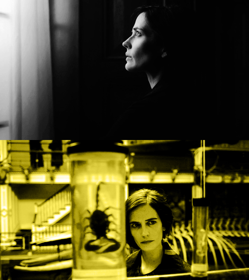&ldquo;All the broken and shunned creatures&hellip;someone&rsquo;s got to care for them 