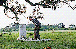   Movies I love - Forrest Gump (1994)  &ldquo;I’m not a smart man… but I