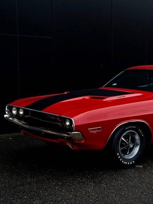 jacdurac:   1970 Dodge Challenger R/T 440 adult photos