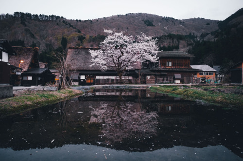 takashiyasui: Shirakawago in spring