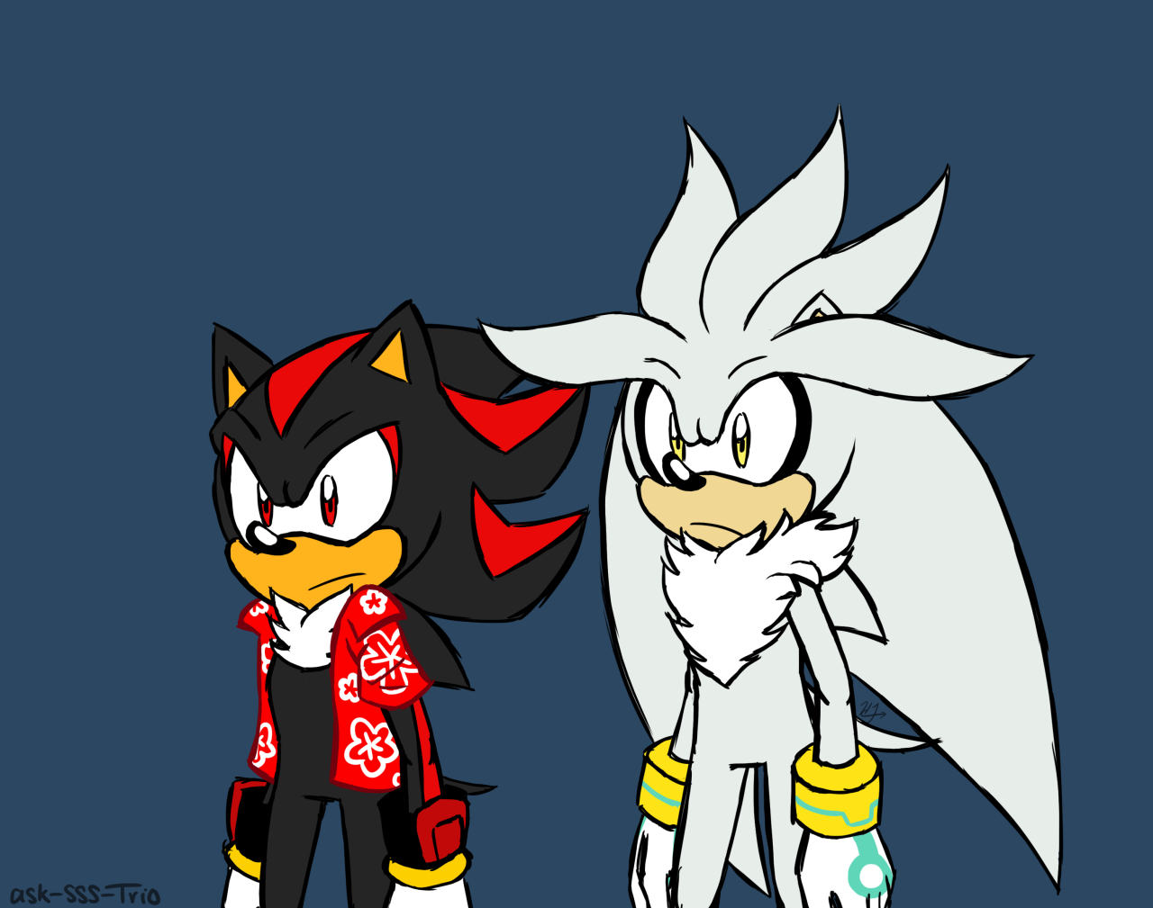 This trio is really just a duo of Sonic and Shadow or Silver and