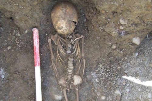 A study of over 500 child skeletons from a mass workhouse grave has uncovered the harrowing deaths s