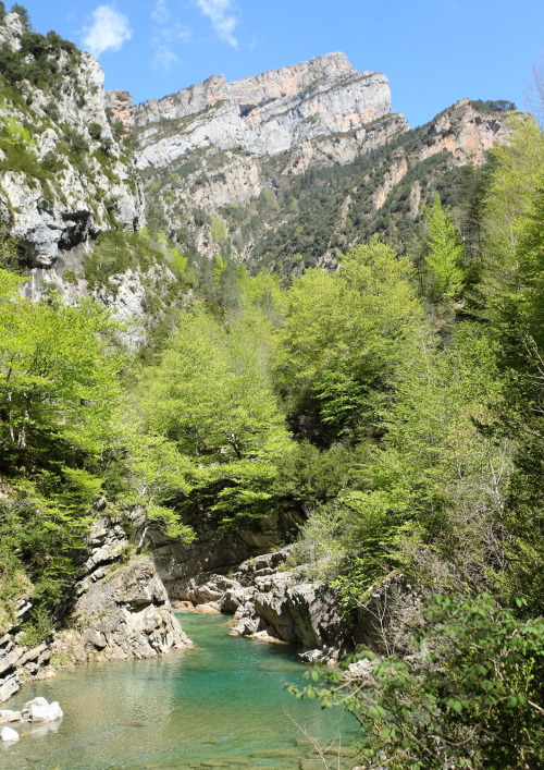 2013: Such a great day - Cañon de Añisclo - where outcrops of folded and thrusted Eoce