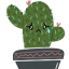 superprickcactus