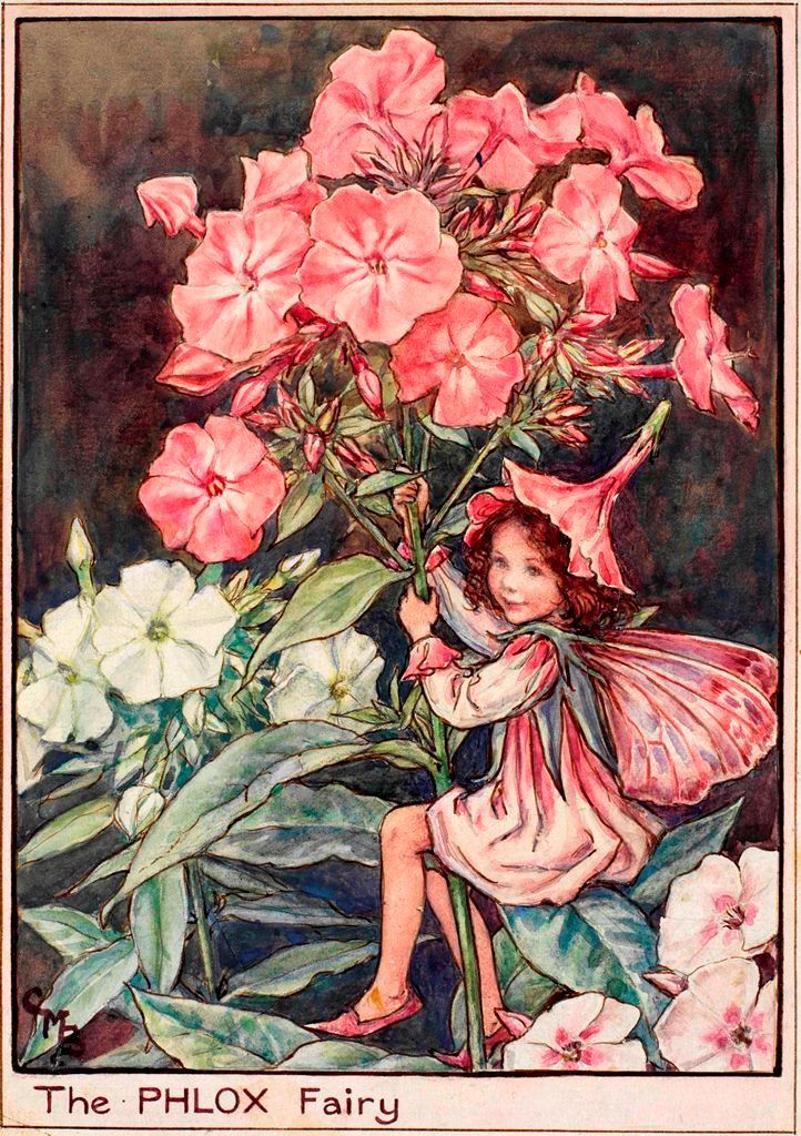 art-from-me-to-you:Cicely Mary Barker, Fairies of the Garden