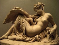 templeofapelles: Michelangelo Leda &