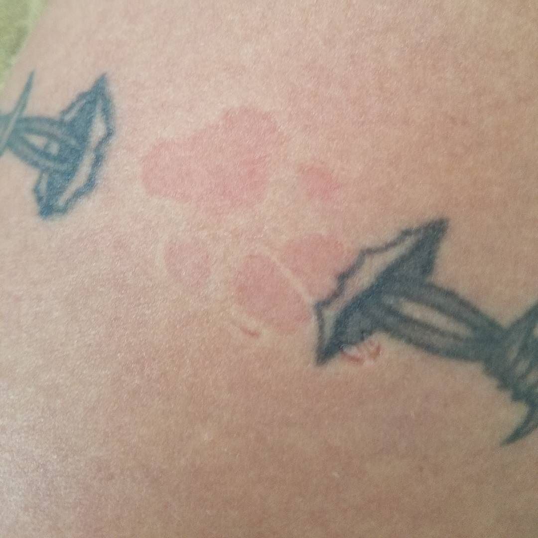 Wow how does a 5 pound Chihuahua leave a paw print on me like that? by evanotty