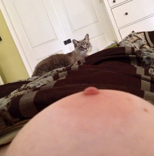 hornywiferxxx:  Took some shots yesterday morning to submit to ‘pornandcats’ & though I would share here at well. Focused on ‘porn’ & then ‘cat’ in each set. 😉 (then hubby made a cameo!) 