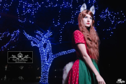catgirlmanor:From Hokkyo’s Christmas shoot,