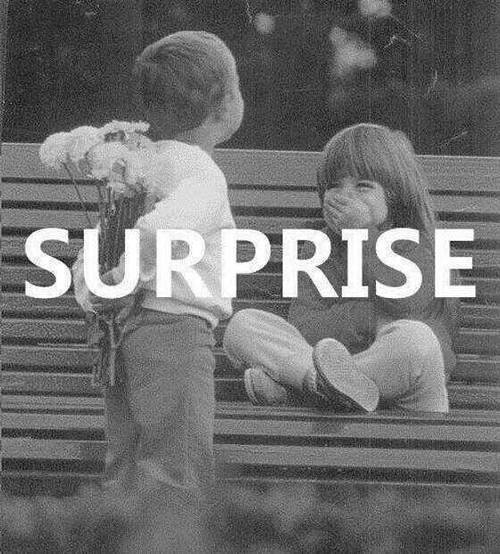 unofficialmemberofthebratpack:  Surprise | via Tumblr on We Heart It. http://weheartit.com/entry/67180116/via/Read_More_Books