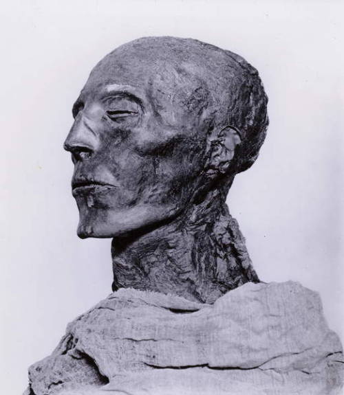 Head of the Mummy of Seti IThe royal mummy of Seti I was buried in an elegant alabaster sarcophagus 