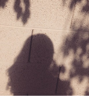 matissechick: Playing with Shadows