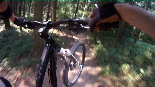 dashn1: back in Freiburg - 1st thing to do: go for a ride.