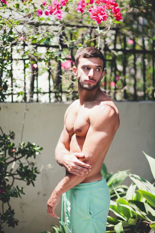 sexbetweenbeards:    