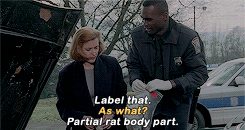 darkastered:  Do you believe in the afterlife, Scully? I’d settle for a life in