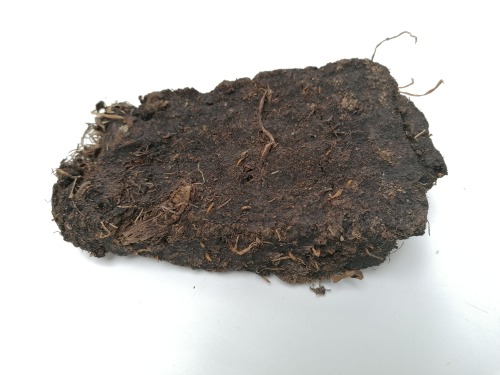 Peat
A dried block of peat from Waternish
School of Plural Futures with ATLAS Arts
Waternish, Isle of Skye, Highland
10th August 2021
No coordinates provided
Exposure, wild fires, loss of traditional skills
Photographic image of peat drying on the...