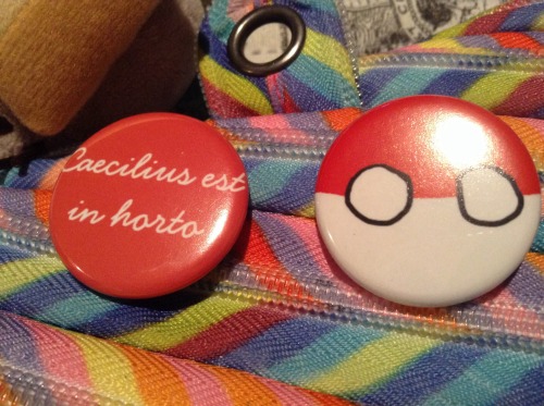 lana-loves-lingua-latina:i added some latin-y buttons onto my pencil case so they could join the par