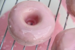 httpkitsune:  Pink Donut  ♡  